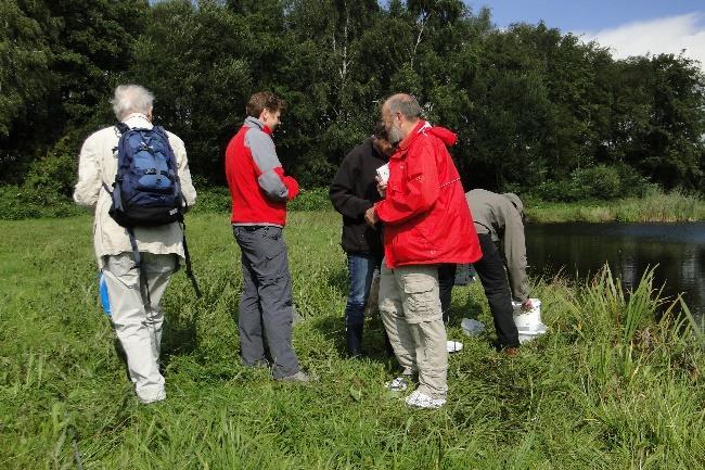 (foto Aart Pijl) Groene kikker (foto Aart