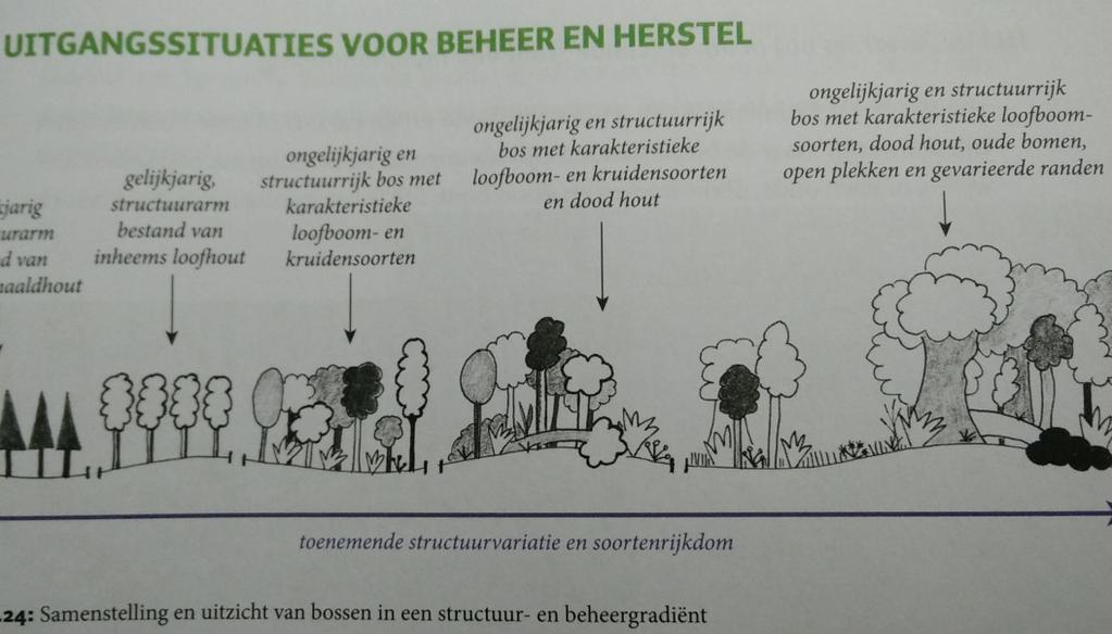 Uit Handboek voor