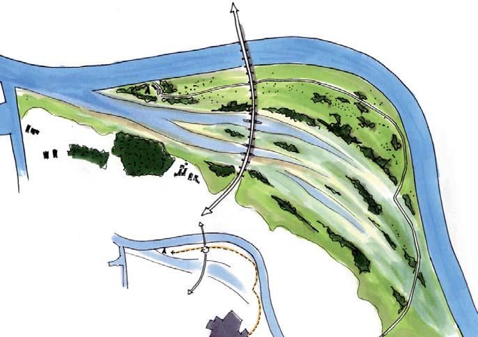 14 3. hoogwatergeul wanssum Voor natuur- en landschapsontwikkeling biedt een geul die altijd water bevat meer potentie: daartoe wordt de geul gemiddeld 3 meter onder het