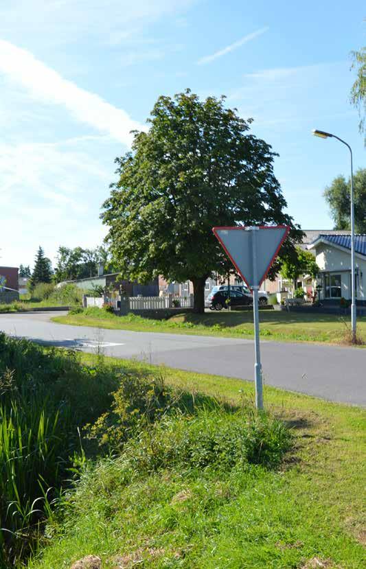 Bereikbaar dorp Dreumel heeft verschillende entrees. De meesten zullen het dorp echter vanaf de Van Heemstraweg in rijden.