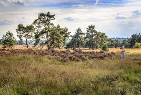 ) beloning voor een geweldig, mooi gebied, met een grote verscheidenheid aan natuur, attracties, horeca, cultuur, erfgoed en verblijfsrecreatie.