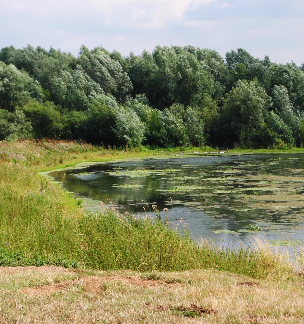 Een natuurlijker Maas Samenvattende rapportage van de Een natuurlijker Maas