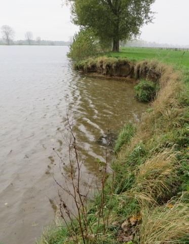 Waar mogelijk worden de huidige oevers omgevormd tot min of meer natuurlijke oevers. Eén van de maatregelen is bijvoorbeeld het verwijderen van de aangebrachte stenen oeververdedigingen.