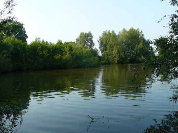 In de Zandbaai bestaat de onderwaterbodem uit zand. Tijdens 2014 is een deel van het onderzoekstraject verplaatst in de westelijke richting.