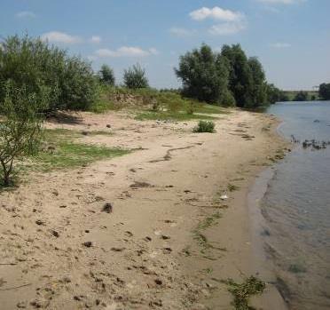 6.10 Hedel Casterense Hoeve (spontaan eroderend) De oever is een dam tussen de Maas en een grote zandplas.