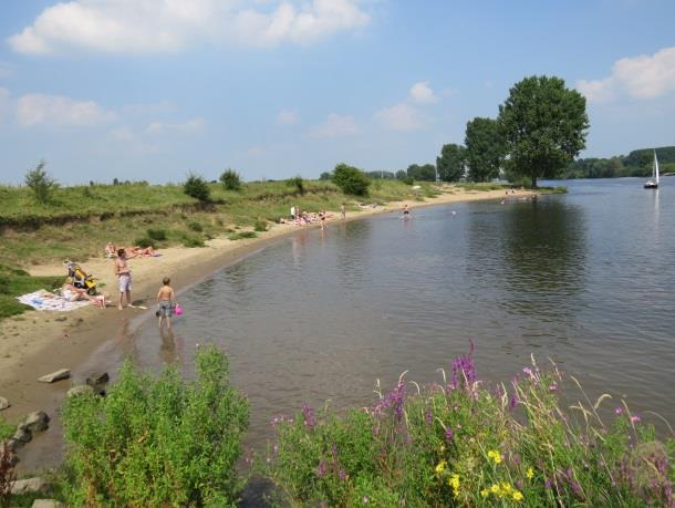 Er is begroeiing van fonteinkruiden. De oever dient als voorbeeldoever. Langs een aantal kribben zijn nieuwe groeiplaatsen van rivierkruiskruid aangetroffen.