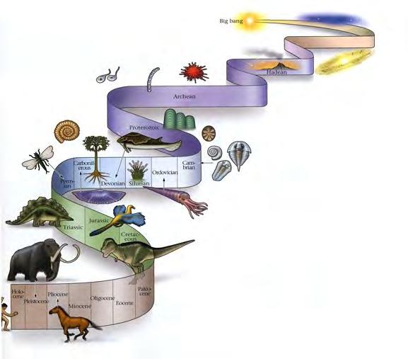 Tijd en evolutie van de aarde en het leven 13700 1 ste sporen van het leven Explosie van het leven 1 ste fossielen Gewervelde dieren op land 1 ste dino s & zoogdieren Bacteriën / algen 1 ste