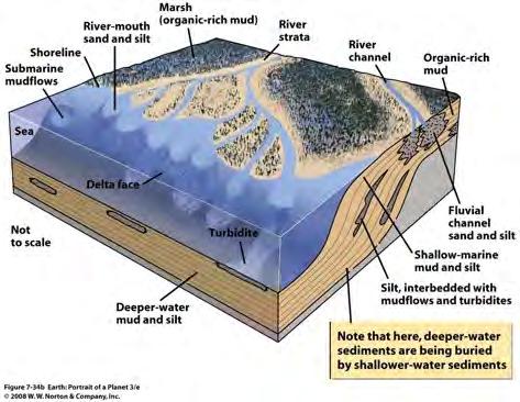 sediment offshore door te kort aan plaats