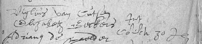 Huybrecht van Cutsem ~ St Pieters Leeuw 19 mei 1596 255. x (1624) Elisabeth van Cutsem ca 1602. (dv. Huybrecht en Barbara Goossens). 256 a. Elisabeth van Cutsem ~ St Pieters Leeuw 22 mei 1625 257.