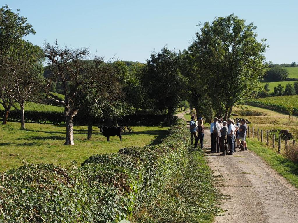 WERKPLAN 2016 2017 4. Communicatie: TER KENNISNAME De deelnemer máákt het Agrarisch Natuur- en Landschapsbeheer!