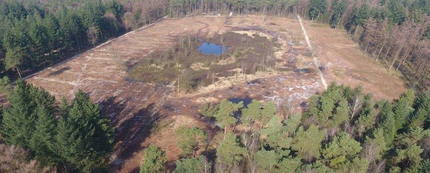 Bijzondere Gagelven hersteld Op het landgoed Beekzicht bij Voorst, tussen Zutphen en Apeldoorn, is onlangs een bijzonder natuurherstelproject uitgevoerd.