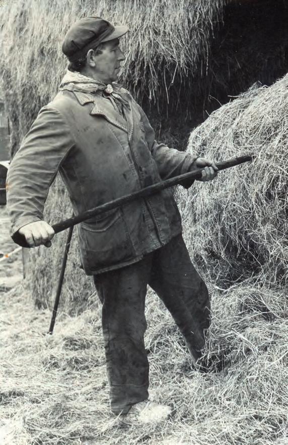 de dinkelhoeve of de boerderij van milatz Cok (1962) en Anne-Marie (1966). Gé Milatz was er steeds vroeg bij met moderniseringen.