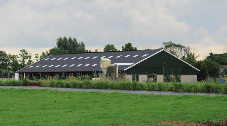 de dinkelhoeve of de boerderij van milatz De stal bij Hageveld, gebouwd in 2009. zorgde de moestuin. Gé Milatz overleed in 2002. Antoon Milatz heeft nu zo n 40 koeien en 25 kalveren en pinken.