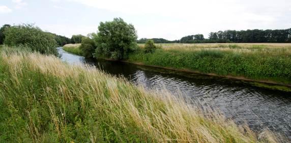 Om deze toestand te verbeteren zijn in het stroomgebied van de Eems in de afgelopen decennia al talrijke projecten ter verbetering van de hydromorfologie uitgevoerd.