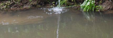 Via de ondergrondse afvoer en het grondwater komen overtollige, door de planten en/of de bodem niet opgenomen stikstofverbindingen in het water terecht.