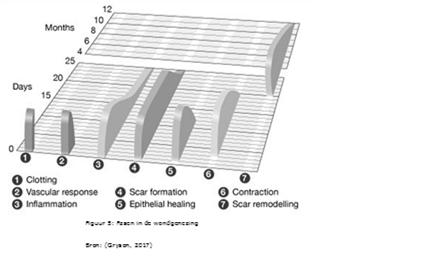 Littekenvorming (http://www.digiwond.