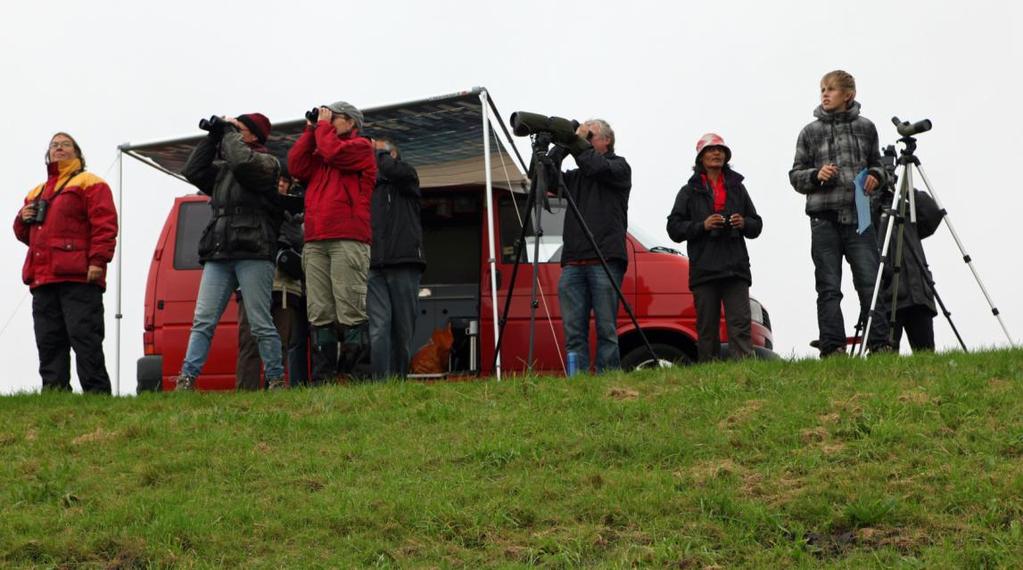 5 Achter de schermen Zo goed als alle deelnemende vogelwerkgroepen werden gedurende de dag gebeld vanuit het kantoor van Vogelbescherming Nederland in Zeist.