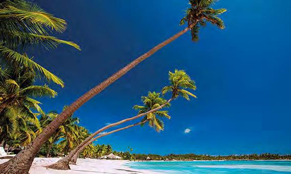 Introductie Fiji Fiji Fiji is gezegend met 333 tropische eilanden in de zuidelijke Stille Oceaan ten oosten van Australië.