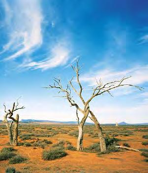 Breng een bezoek aan de wijnmakerijen, die zijn omringd door uitgestrekte bossen, en luister naar de woeste branding van de Margaret River.