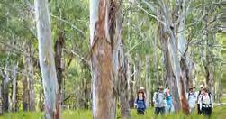 Prijs per persoon in euro: Dubbel Single 01/04/18-31/03/19 1.915 1.915 De 4-daagse wandeling start in Wilpena Pound en doorkruist de Flinders Ranges en het private Arkaba Conservancy. Incl.