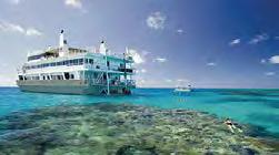 030 810 Lizard Island 5 dagen/4 nachten Cairns - Cooktown - Lizard Island - Ribbon Reefs - Cairns. Prijs per persoon in euro Dubbel Single Kind 4-14j 01/04/18-31/03/19 Cabin 1.620 2.