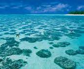 Hotels Heron Island **** Ligging: koraaleiland op 89 km van de kust van Queensland, aan het Great Barrier Rif. Bereikbaar per boot, vliegtuig of helikopter.
