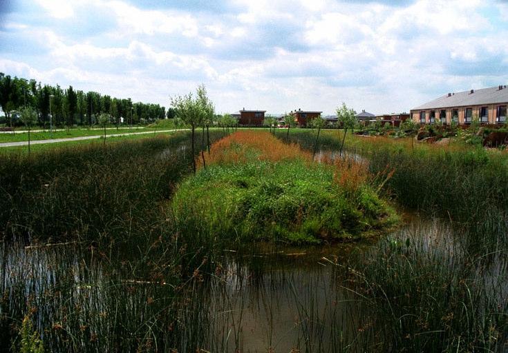 Er zijn natuurlijke slootkanten bijgekomen die bijdragen aan de realisatie van de natte ecologische verbindingenin de gemeente Houten.