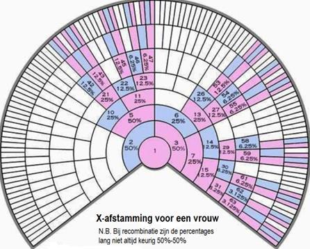 X van hun vader Mannen krijgen X van