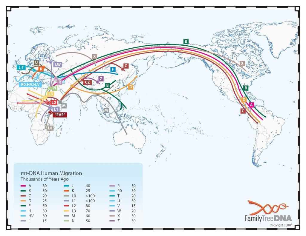 mtdna migratie