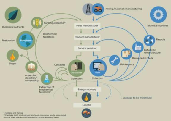 Visiedocument Biobased Economy Onlangs is het visiedocument Biobased Economy besproken. Hieronder wordt kort toegelicht wat biobased economy is.