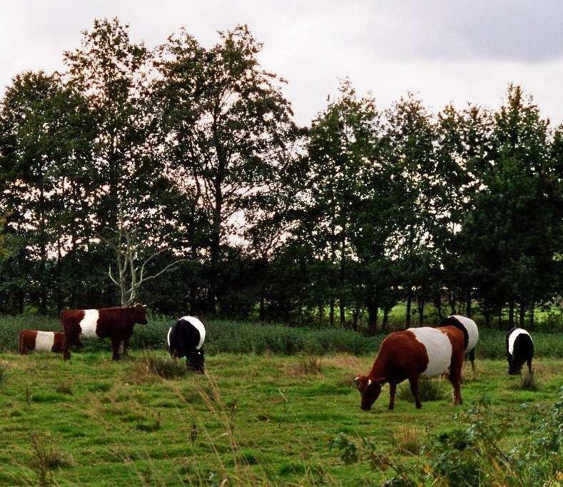 Bovendien heeft een koeienboer met allerlei verschillende klanten te maken.