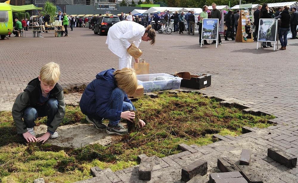 De stad: mag het