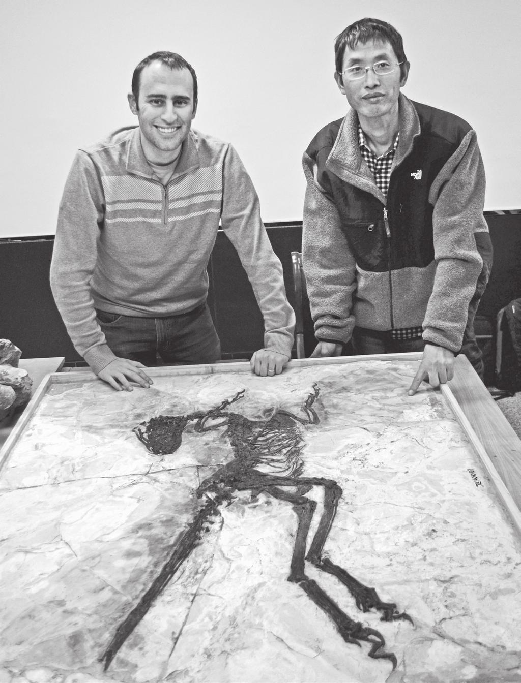 Junchang Lü en ik bestuderen het prachtige fossiel van de Zhenyuanlong.