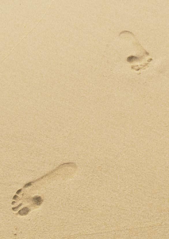 Footvolley schouders etc komen aan bod en leiden aan het eind van die cursus tot serieuze