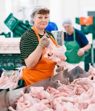 AB Midden Nederland levert gemotiveerde fruitteeltspecialisten precies als ze nodig zijn.