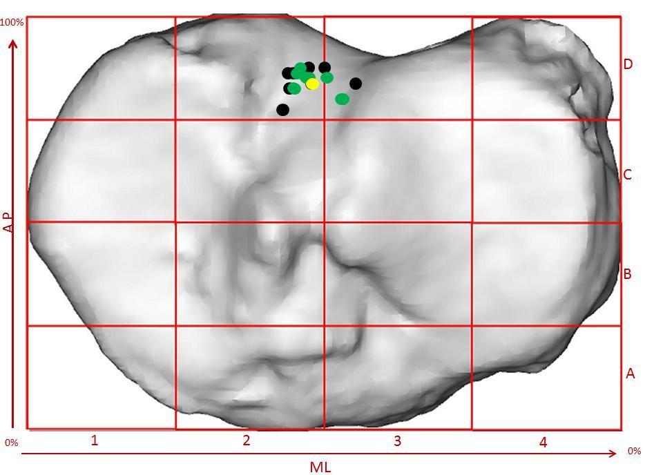 positie weer van de intersecties van de centrale axis met de tibia (zwarte stip). De groene stip stelt de positie van het gewogen gemiddelde voor, het centrum van de tibiale insertie.