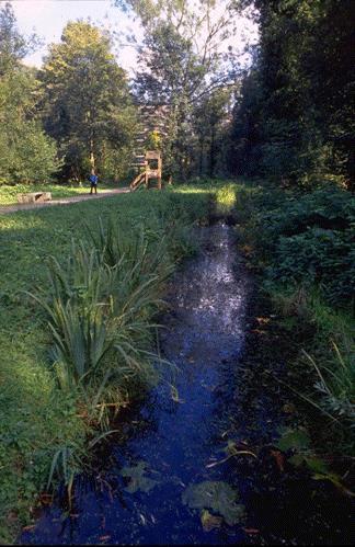 Verbetering van de biodiversiteit en het landschap (in de hiervoor bestemde zones) Gezelligheid, recreatie Valorisatie van het water