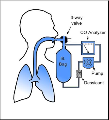 Longfunctie Mate van obstructie: FEV1 en FEV1/FVC ratio: spirometrie Diffusie