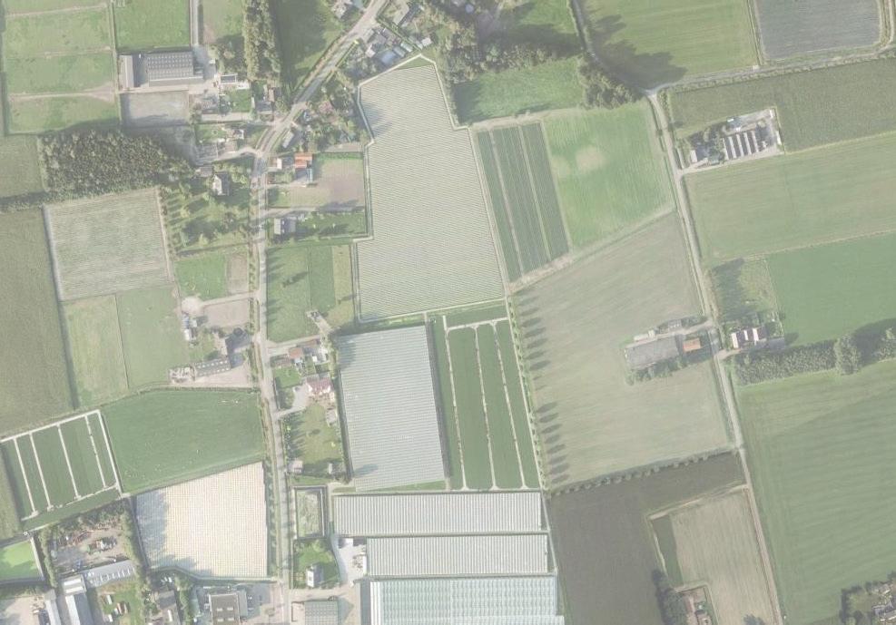 Landschappelijke inpassing Te realiseren landschapselement hakhoutsingel (1147 M²) Munnikendijk Te realiseren