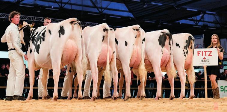 Uiteindelijk haalde ze niet de minimale prijs die Van Vliet voor haar wilde ontvangen, zodat ze toch in eigen stal blijft.