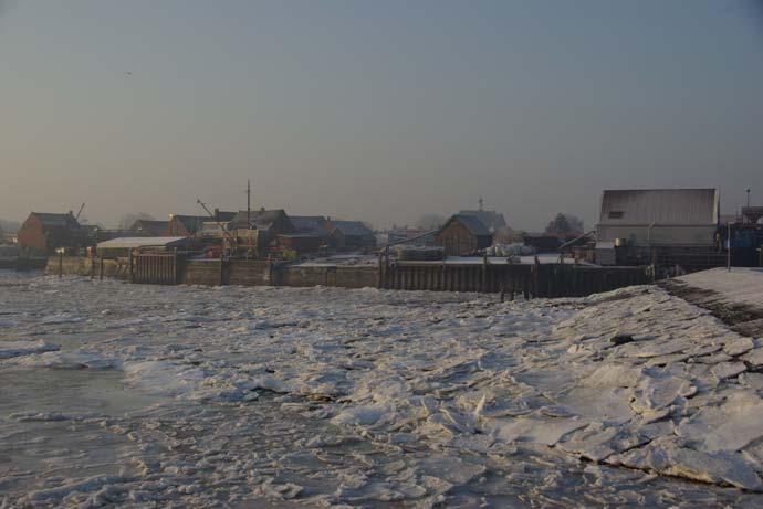 maximumtemperatuur in Vlissingen niet meer onder het vriespunt. Tijdens de telperiode (8-22 januari) was het in het algemeen goed weer met weinig wind en neerslag.