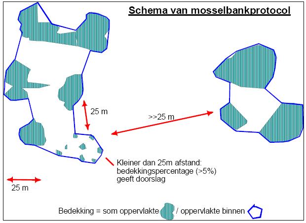 2 Methode Mosselbanken worden elk jaar gekarteerd om de huidige locatie en grootte en de jaarlijkse veranderingen hierin te kunnen documenteren.