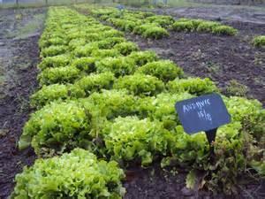 opgericht blad Neiging