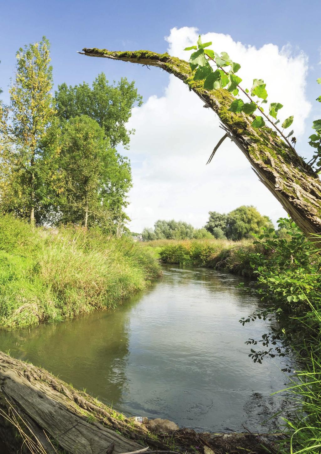 16 In het Drielandenpark en in het GrensPark Kempen~Broek werkt ARK sinds 2011 aan