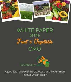 6. GEMEENSCHAPPELIJKE MARKTORDENING Het marktgebeuren in de sector groenten en fruit wordt sterk gedomineerd door de Europese Gemeenschappelijke MarktOrdening (GMO) voor groenten en fruit.