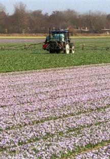 Ecosysteemdiensten diensten die de