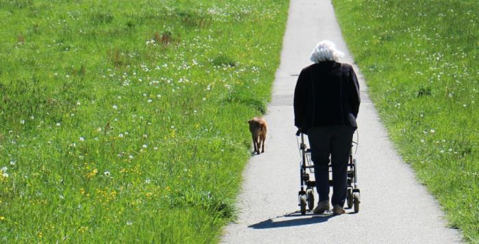 Sarcopenie Ontstaan multifactorieel Problemen in de aansturing spieren Vermindering spierfunctie