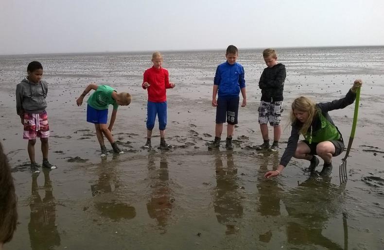 Aan het begin van die week is het wadlopen wel mogelijk, waardoor wij besloten hebben om voor alle groepen het schoolreisje te verschuiven naar maandag 25 juni 2018.