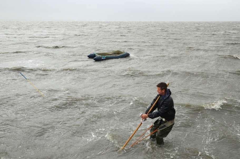 Voorbeeld handkokkelvisserij Meerjarenakkoord hand-kokkelvisserij (Fryslan, natuurorganisaties, handkokkelvissers en EL&I)