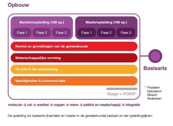 - De diversiteit in de organisatie van de alcohol- en drugsector in Vlaanderen en in de Federatie Wallonië-Brussel: in Vlaanderen is er een koepelorganisatie met een uitgebreide werking naar